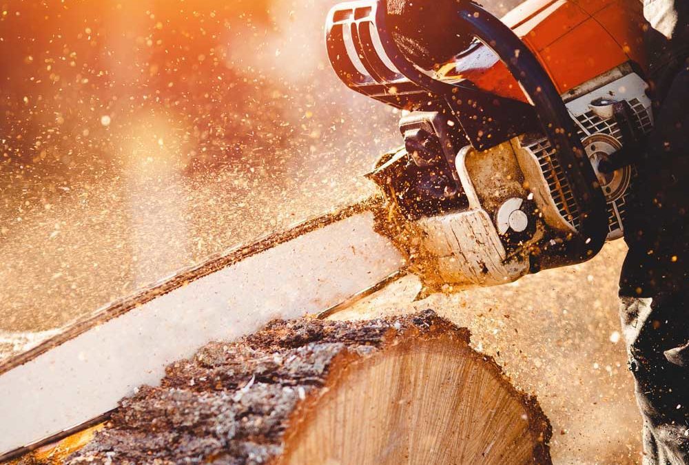 Motorsäge sägt durch Holz
