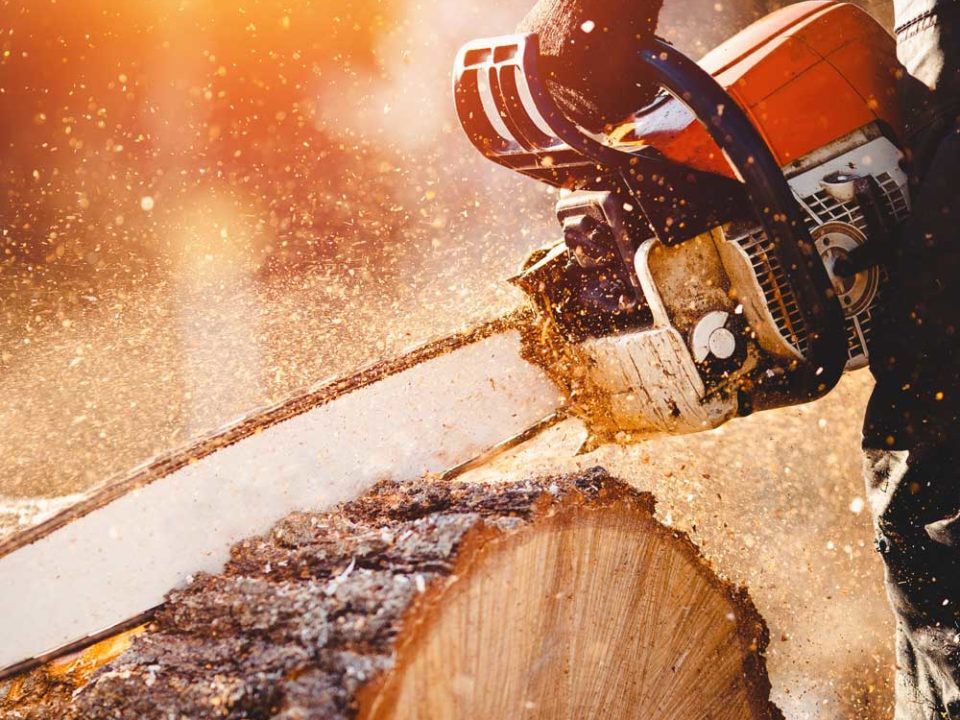 Motorsäge sägt durch Holz