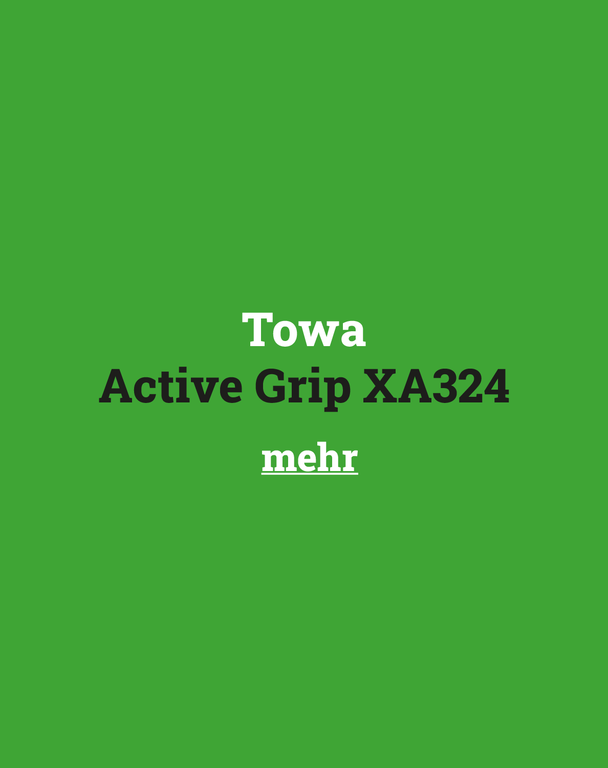 Text Showa 310